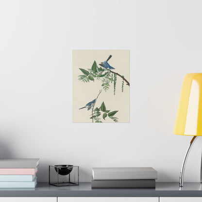 Vintage Bluebirds Botanical Print - Nature-Inspired Art - Matte Vertical Poster with Bluebirds