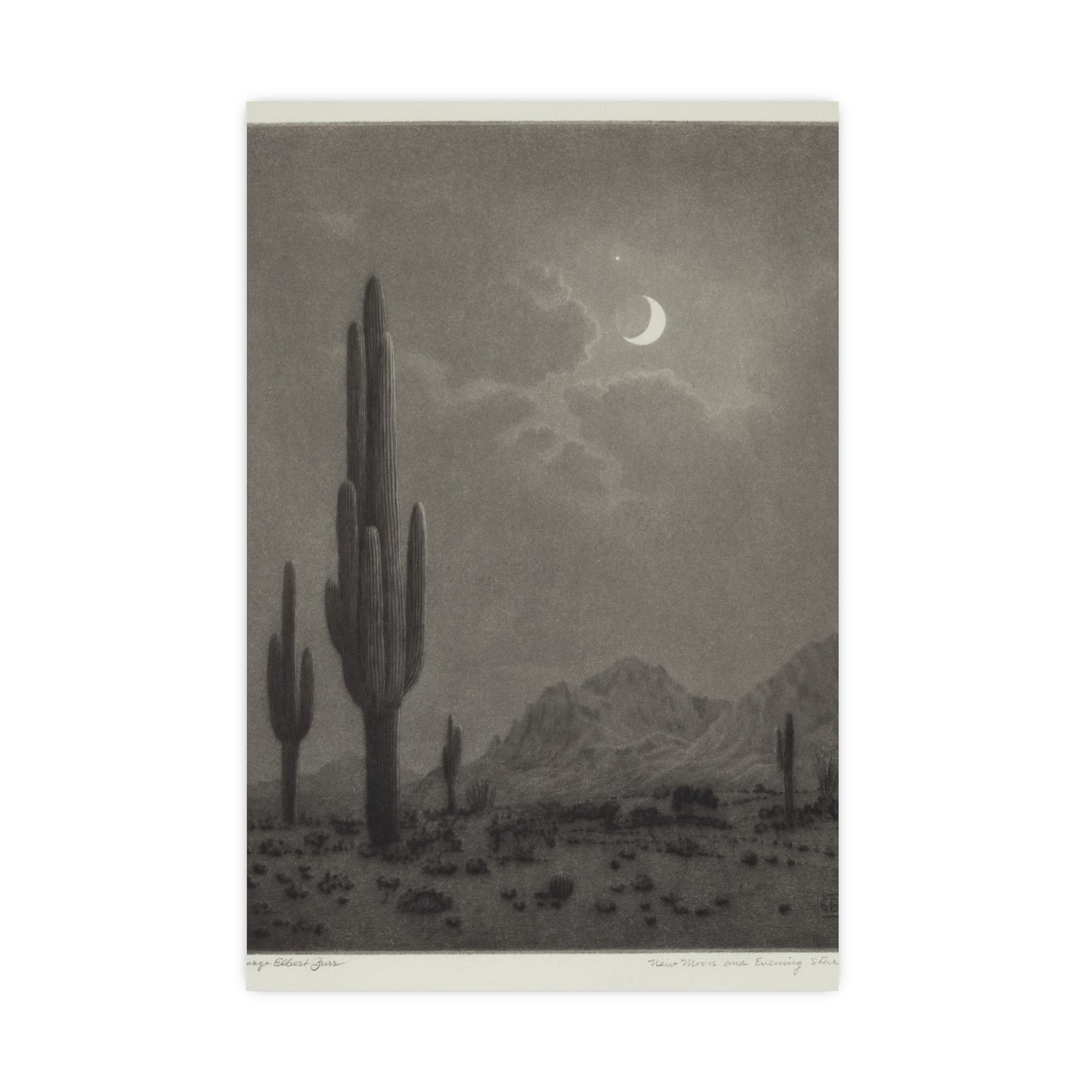 New Moon and Evening Star over Cactus- Celestial Fine Art Poster