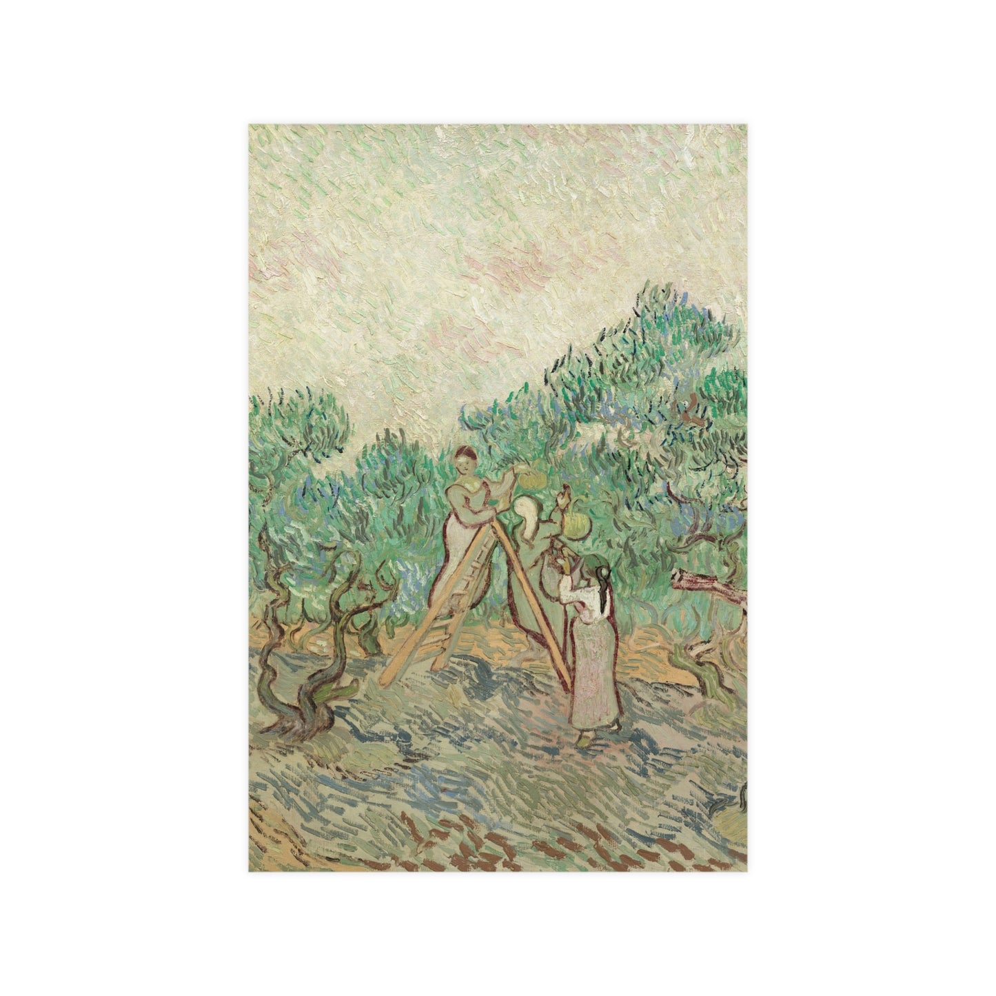 The Olive Orchard - Van Gogh Fine Art Poster