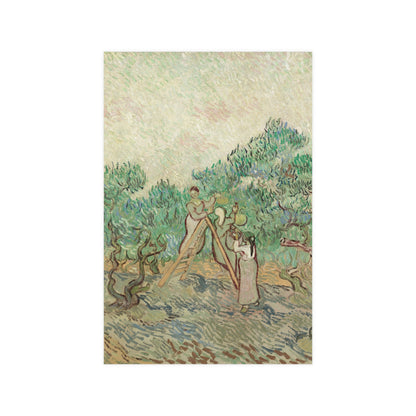 The Olive Orchard - Van Gogh Fine Art Poster