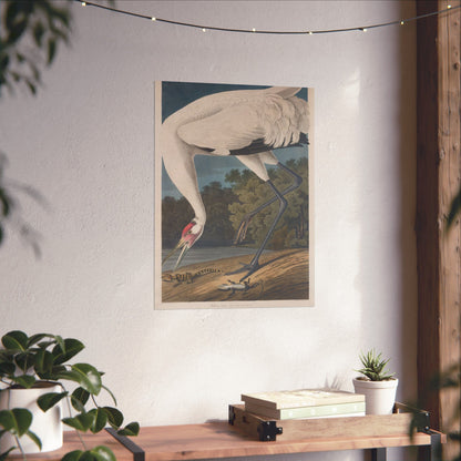 Crane in the Glades - Vintage Fine Art Print - Art Print - Poster for Nature Lovers & Birdwatchers