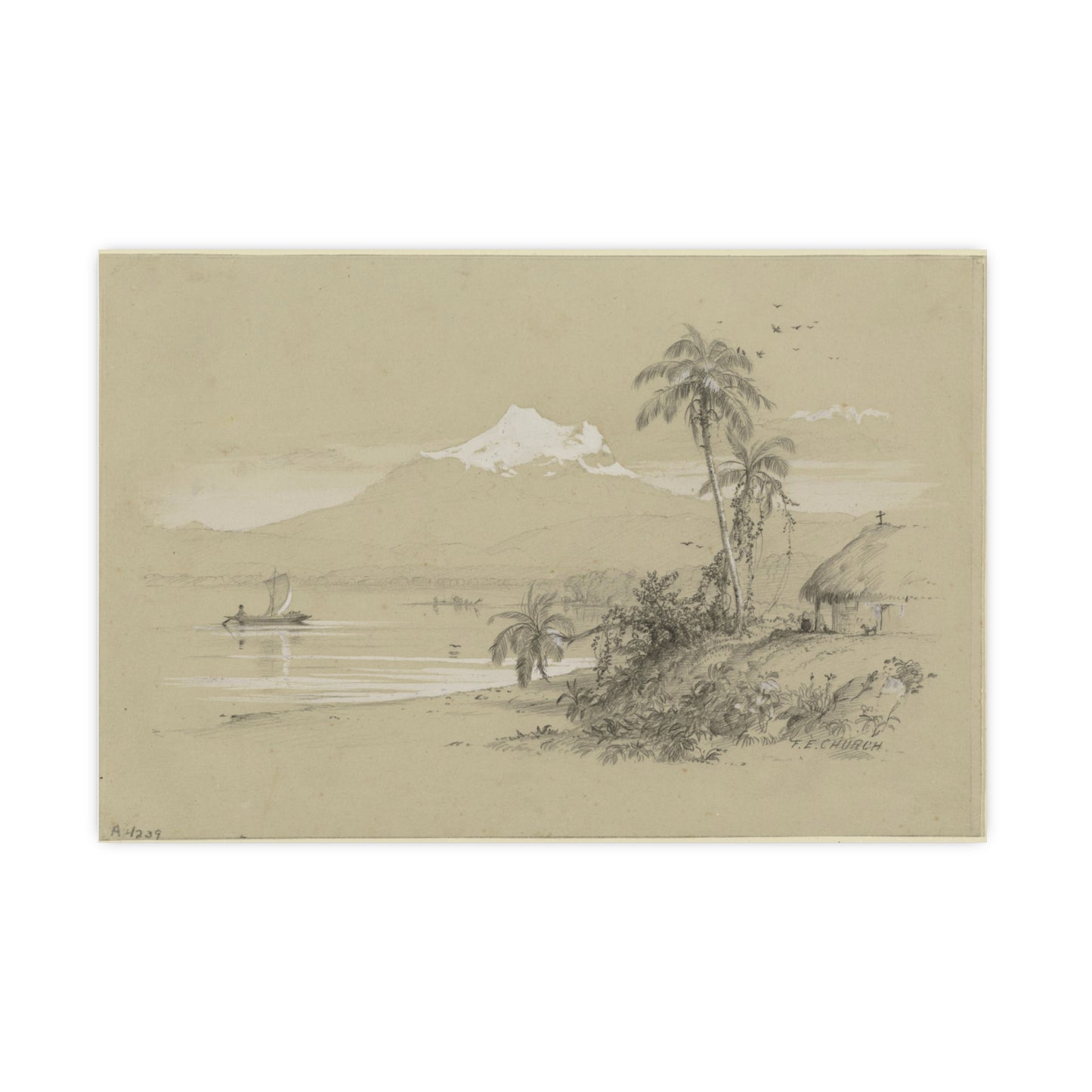 Magdalena River South America - Tropical Landscape Fine Art Poster