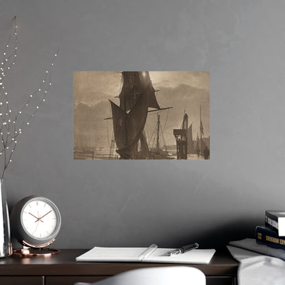 Sunshine and Shadow - Forest Interior Fine Art Poster