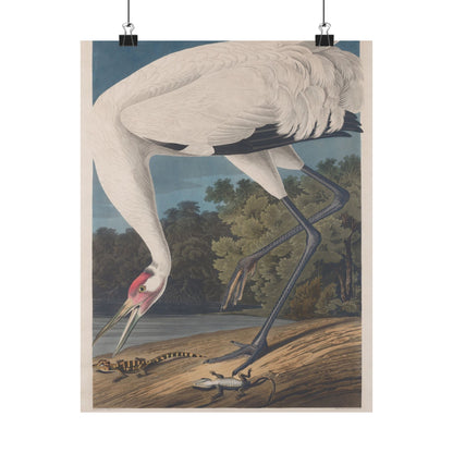 Crane in the Glades - Vintage Fine Art Print - Art Print - Poster for Nature Lovers & Birdwatchers