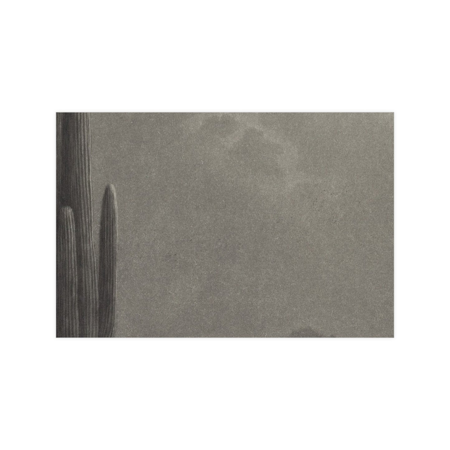 New Moon and Evening Star over Cactus- Celestial Fine Art Poster