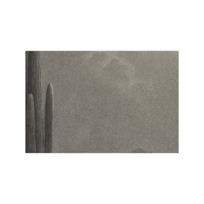 New Moon and Evening Star over Cactus- Celestial Fine Art Poster