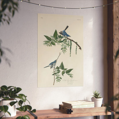 Vintage Bluebirds Botanical Print - Nature-Inspired Art - Matte Vertical Poster with Bluebirds
