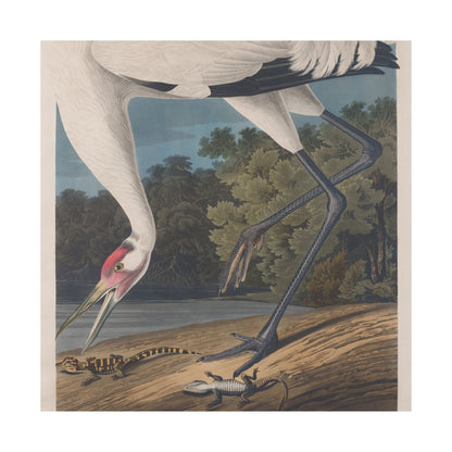Crane in the Glades - Vintage Fine Art Print - Art Print - Poster for Nature Lovers & Birdwatchers
