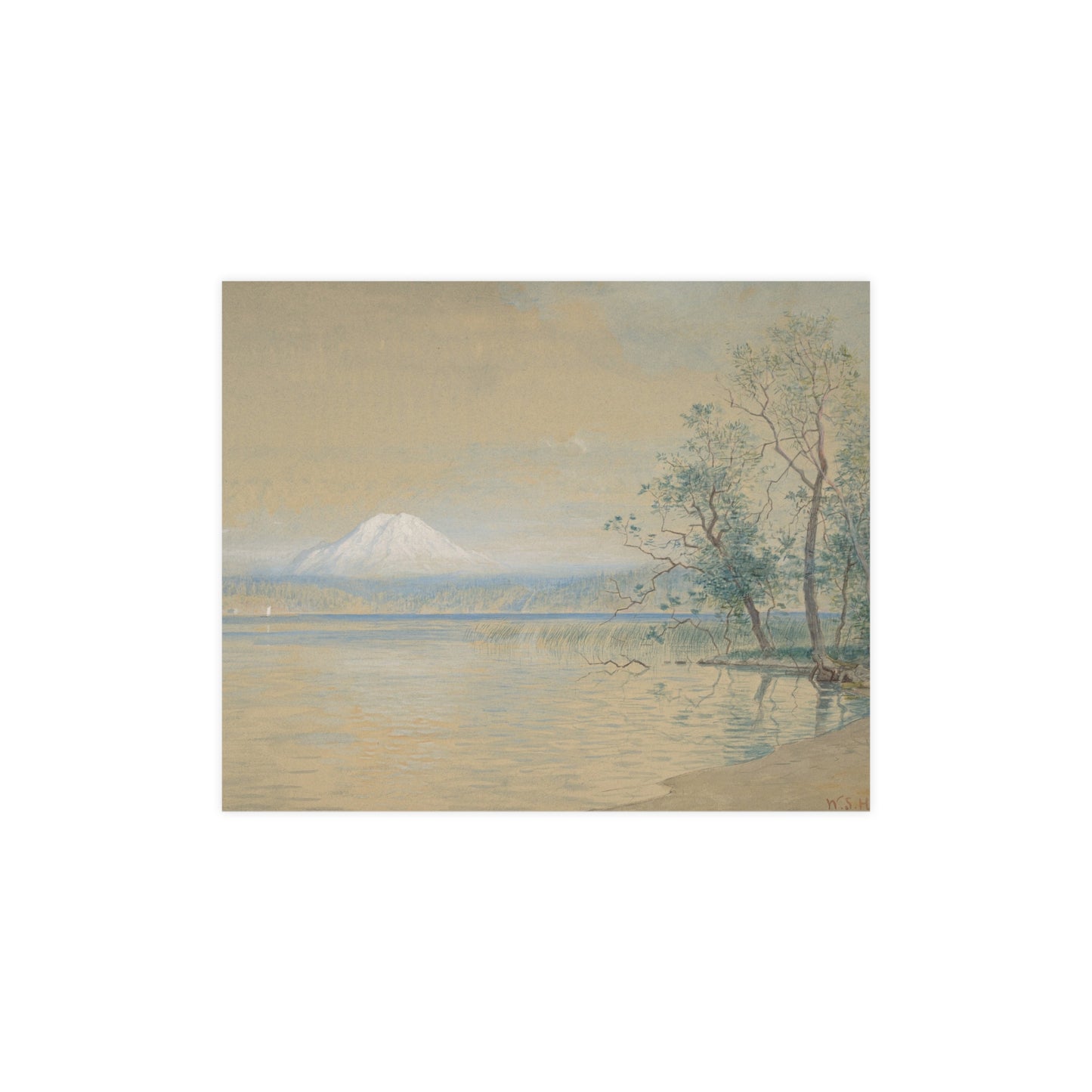 Mount Tacoma - Pacific Northwest Landscape Fine Art Poster