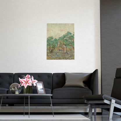 The Olive Orchard - Van Gogh Fine Art Poster
