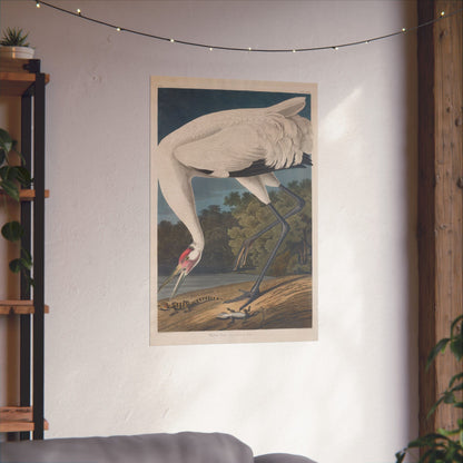 Crane in the Glades - Vintage Fine Art Print - Art Print - Poster for Nature Lovers & Birdwatchers