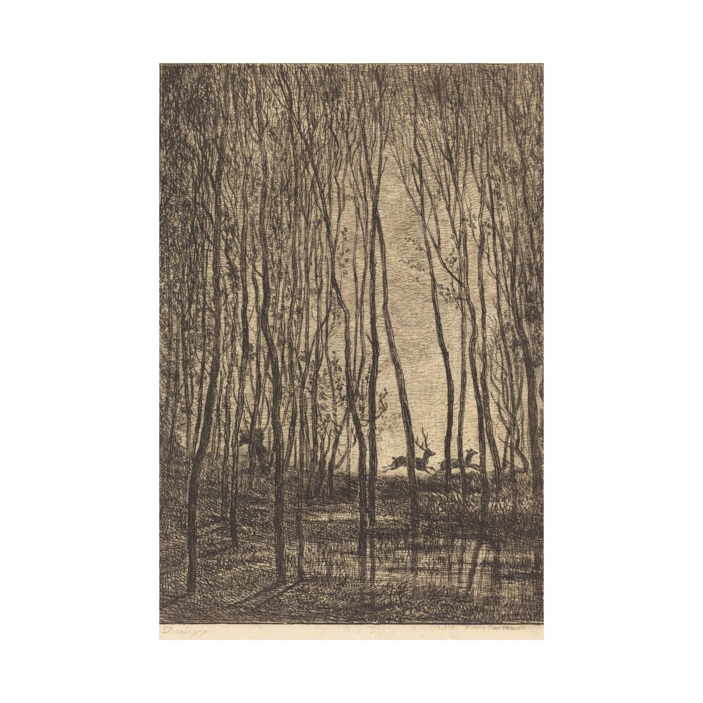 Deer Running Through Woods Nature Fine Art Print