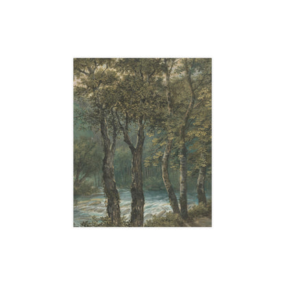 Sunlight Through Trees River Sihl - Forest Landscape Fine Art Poster