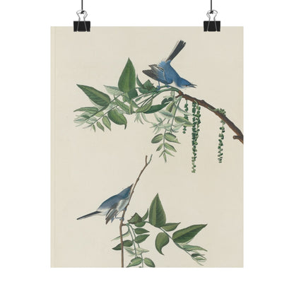 Vintage Bluebirds Botanical Print - Nature-Inspired Art - Matte Vertical Poster with Bluebirds