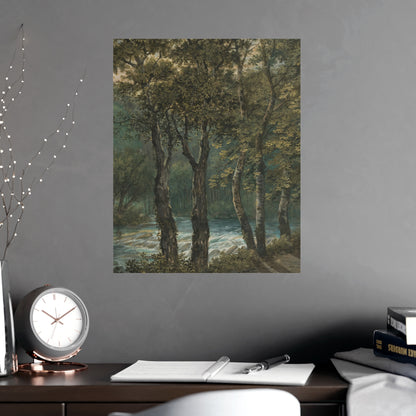 Sunlight Through Trees River Sihl - Forest Landscape Fine Art Poster