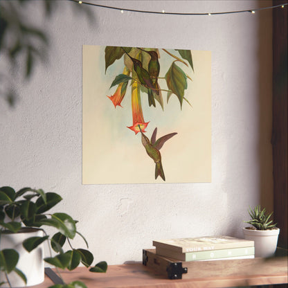 Hummingbird Botanical Art Print - Matte Vertical Poster - Nature Inspired Wall Art - Vintage Bird Watcher Art