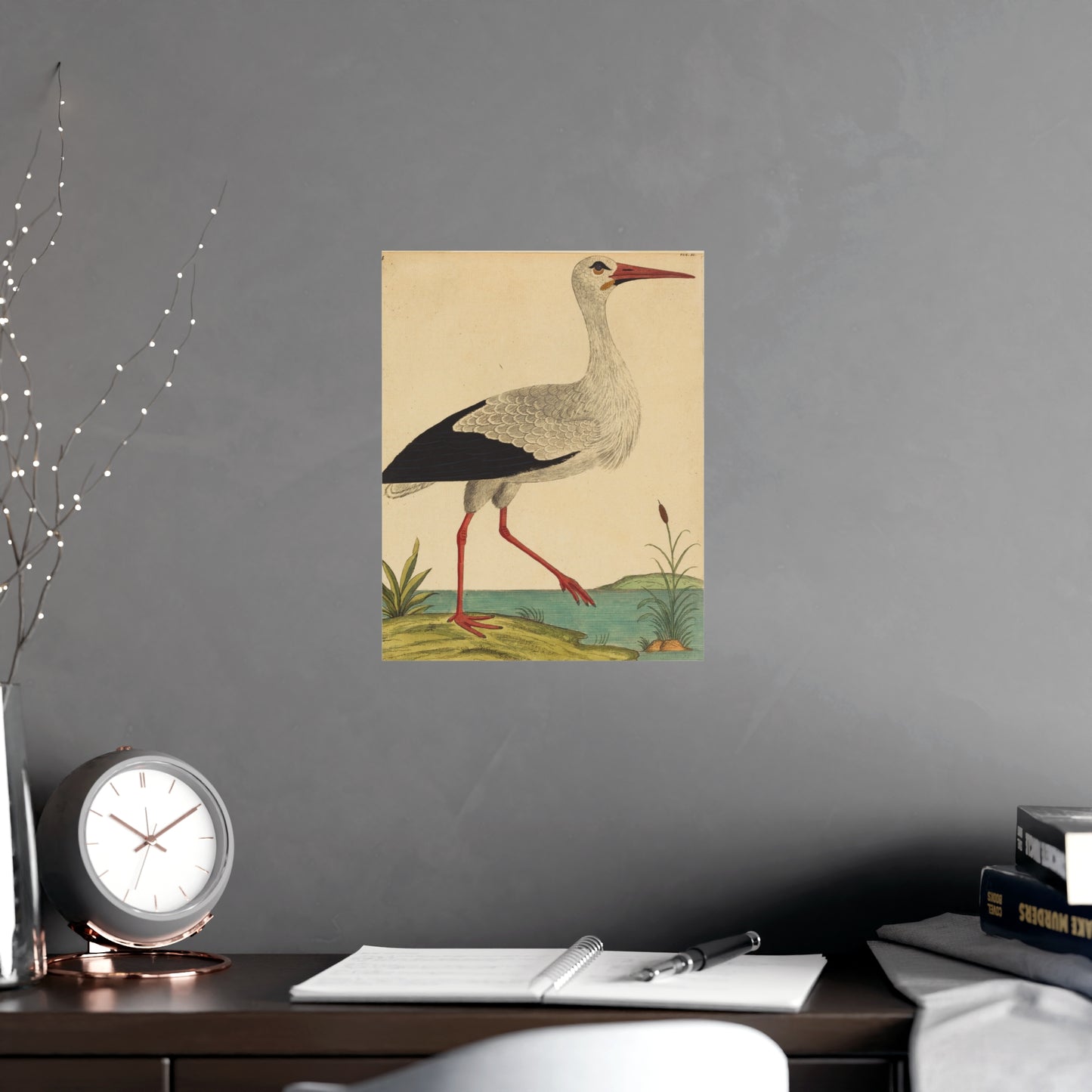 White Stork - Vintage Natural History Fine Art Poster