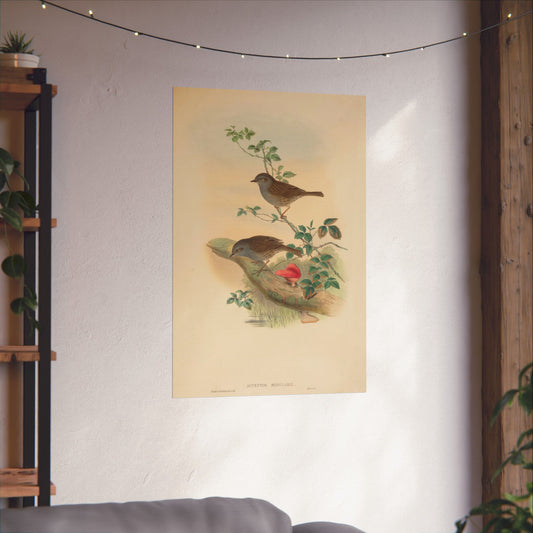Birdwatcher Vintage Botanical Art Print Series - Mushroom Log - Matte Vertical Poster - Nature Wall Décor