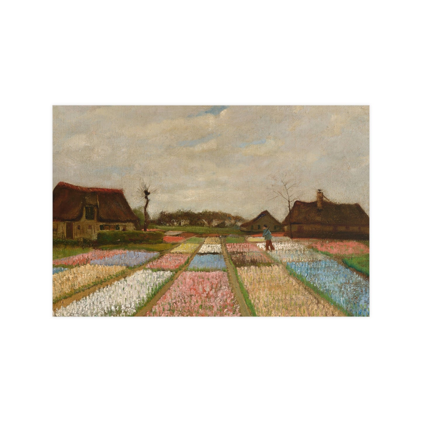 Flower Beds in Holland - Van Gogh Fine Art Poster