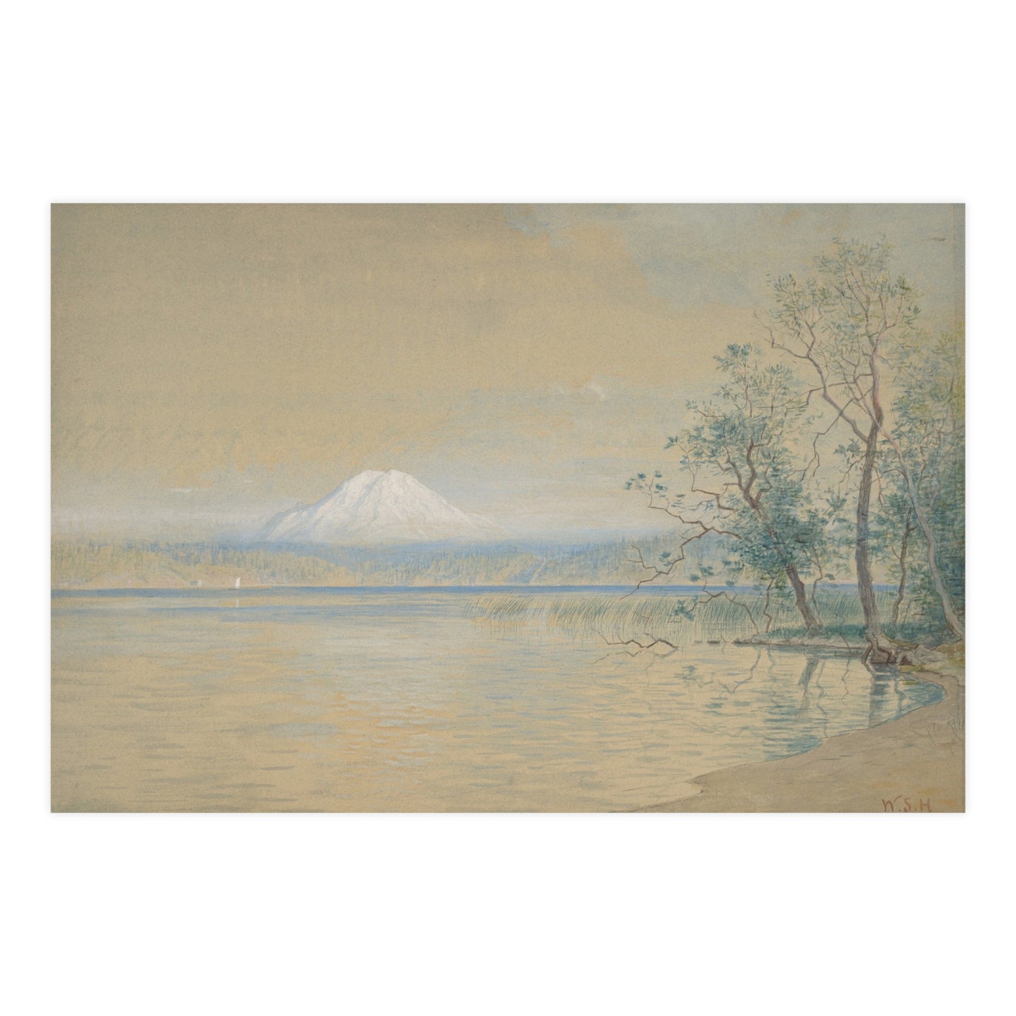 Mount Tacoma - Pacific Northwest Landscape Fine Art Poster