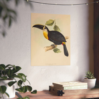 Tropical Toucan - Vintage Birdwatcher Art Print - Matte Vertical Poster - Elegant Bird Wall Art for Nature Lovers