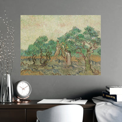 The Olive Orchard - Van Gogh Fine Art Poster