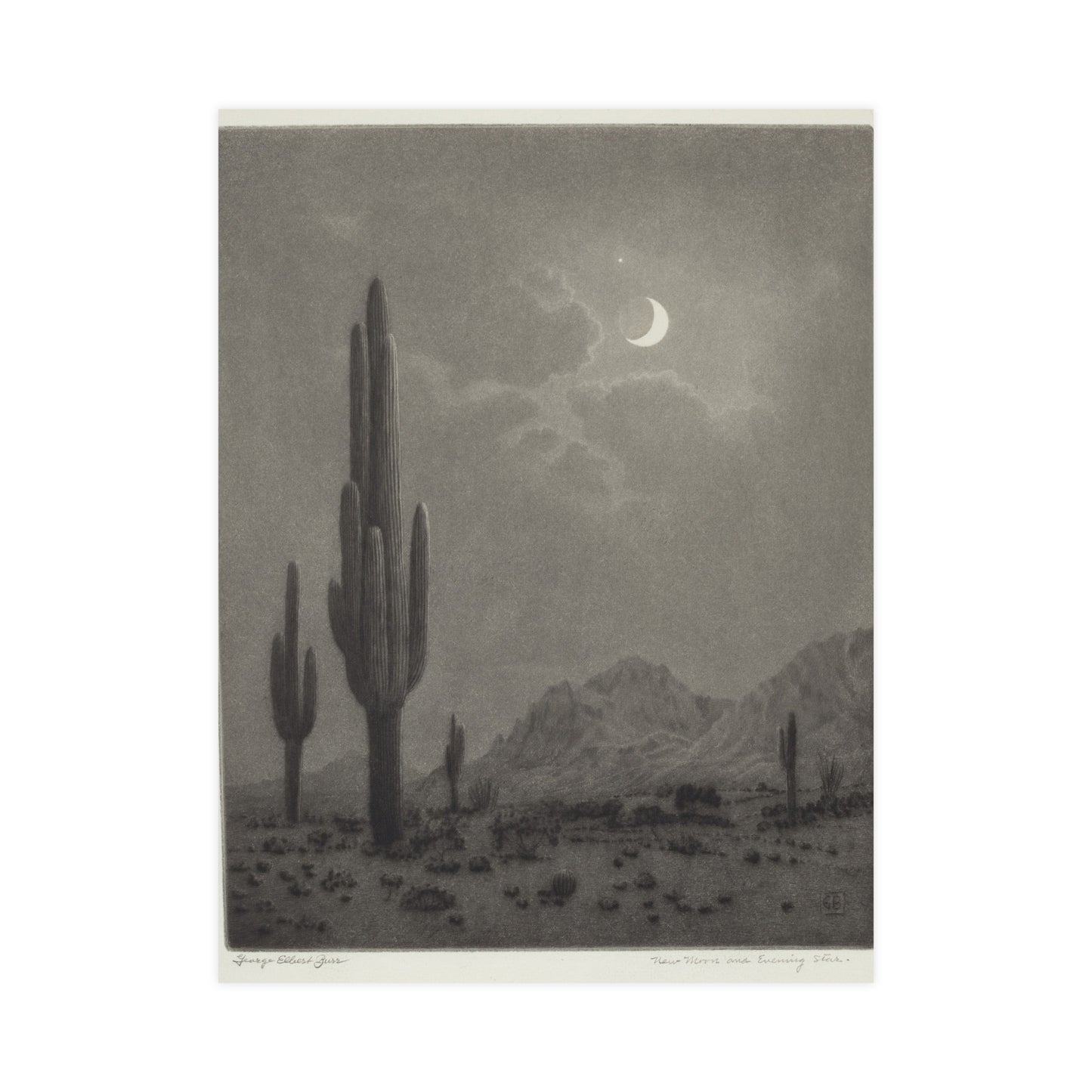 New Moon and Evening Star over Cactus- Celestial Fine Art Poster