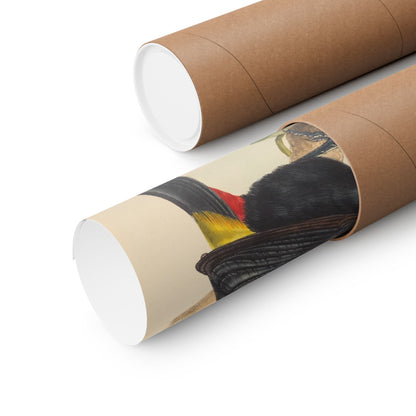Tropical Toucan - Vintage Birdwatcher Art Print - Matte Vertical Poster - Elegant Bird Wall Art for Nature Lovers