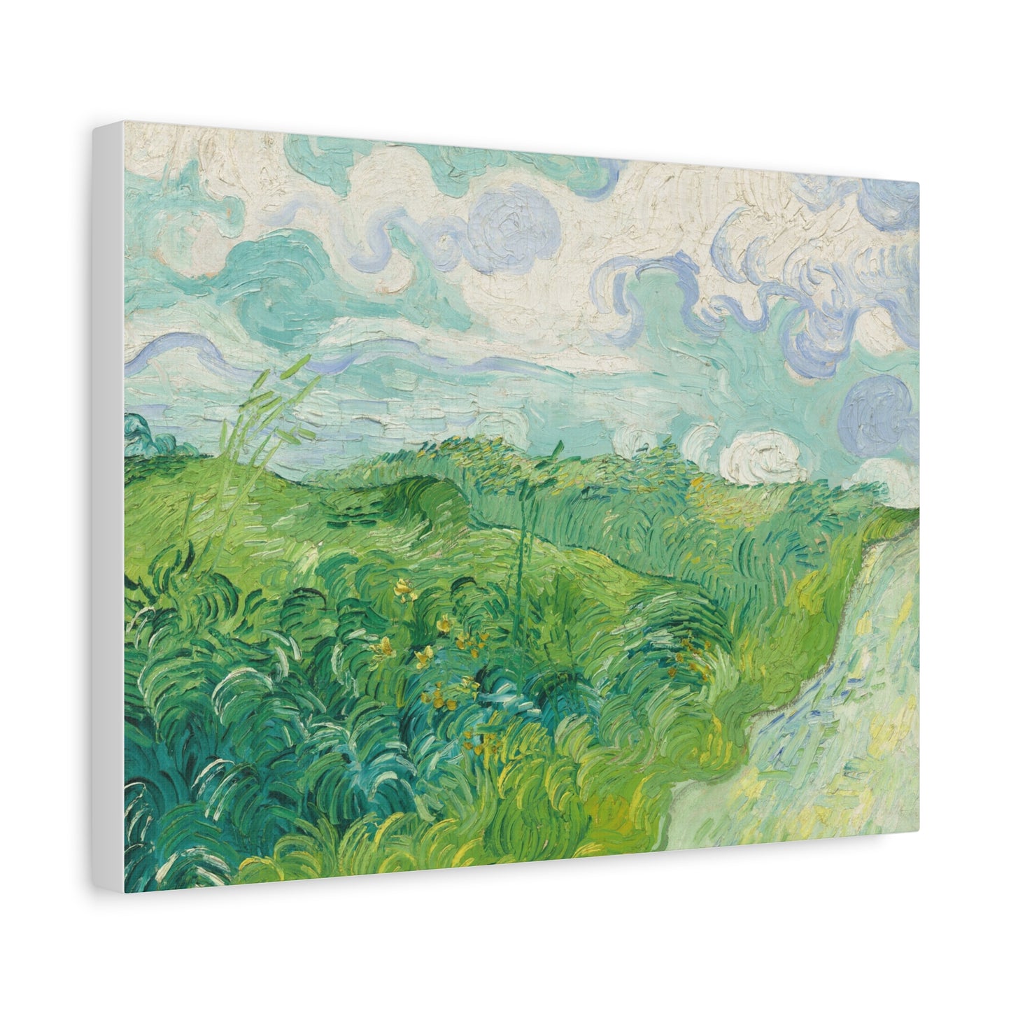 Vincent van Gogh - Green Wheat Fields Fine Art Canvas Print