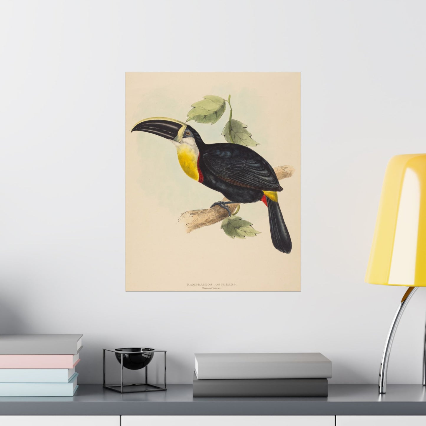 Tropical Toucan - Vintage Birdwatcher Art Print - Matte Vertical Poster - Elegant Bird Wall Art for Nature Lovers