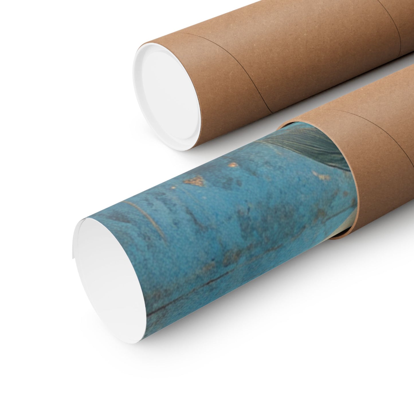 Blue Cosmos Moonlit Botanical Fine Art Print