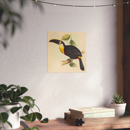 Tropical Toucan - Vintage Birdwatcher Art Print - Matte Vertical Poster - Elegant Bird Wall Art for Nature Lovers