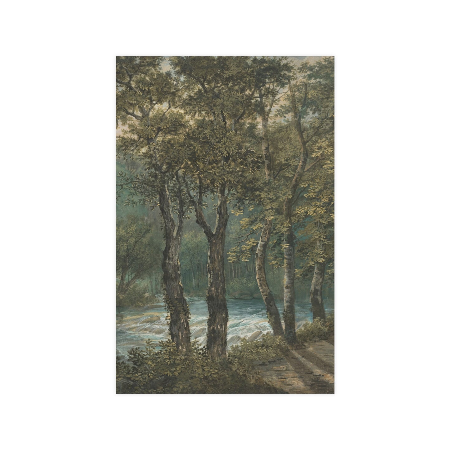 Sunlight Through Trees River Sihl - Forest Landscape Fine Art Poster