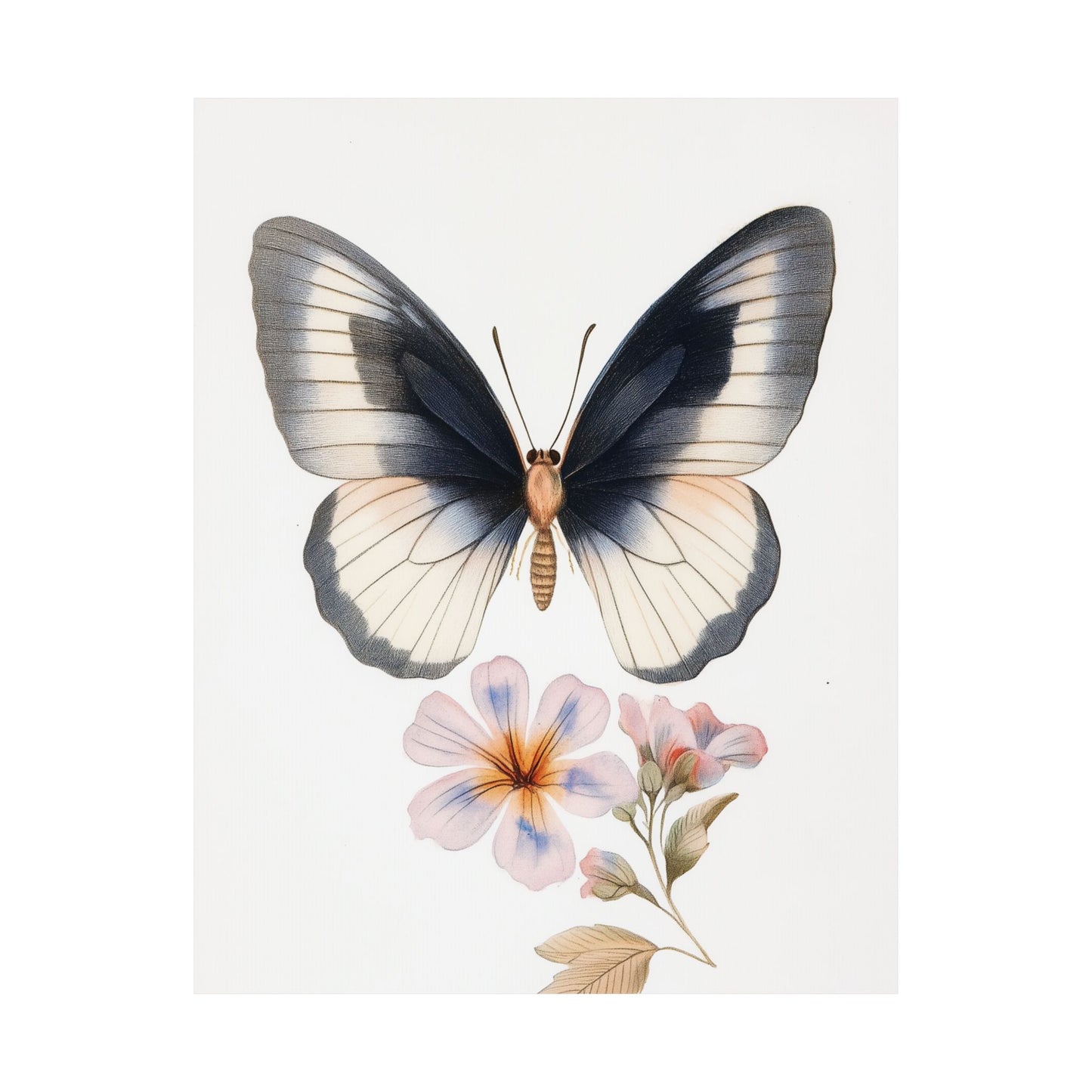 Vintage Butterfly Botanical Print - Matte Vertical Poster - Elegant Wall Art for Nature Lovers