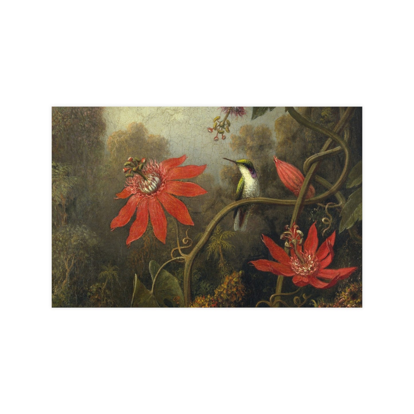Hummingbird in Lush Tropical Landscape - Museum Collection - Fine Art Poster