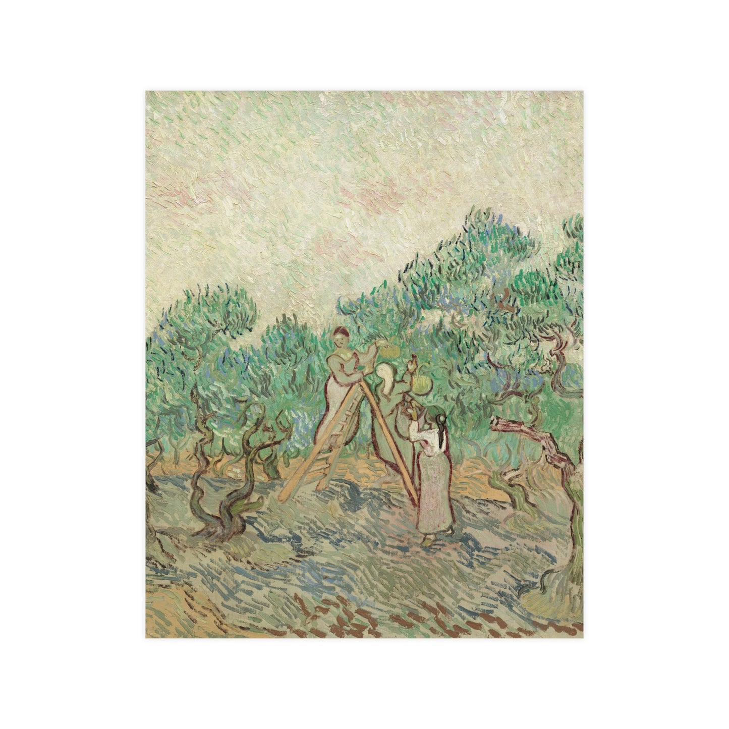 The Olive Orchard - Van Gogh Fine Art Poster