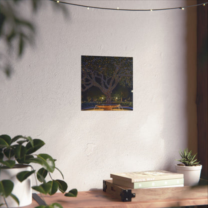 Winter Lights in the Park - Fine Art Print - Poster Print