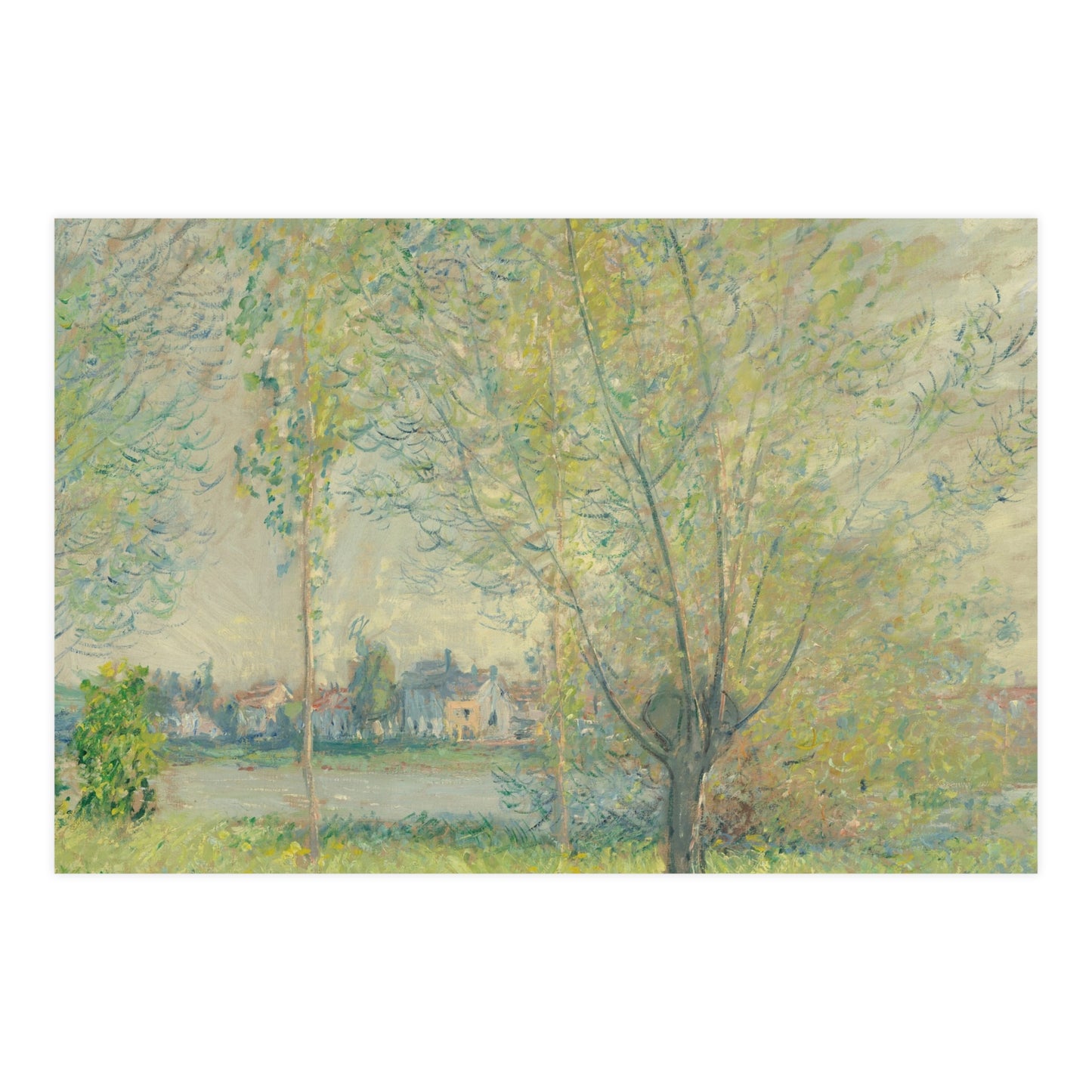 The Willows - Peaceful Landscape Fine Art Poster