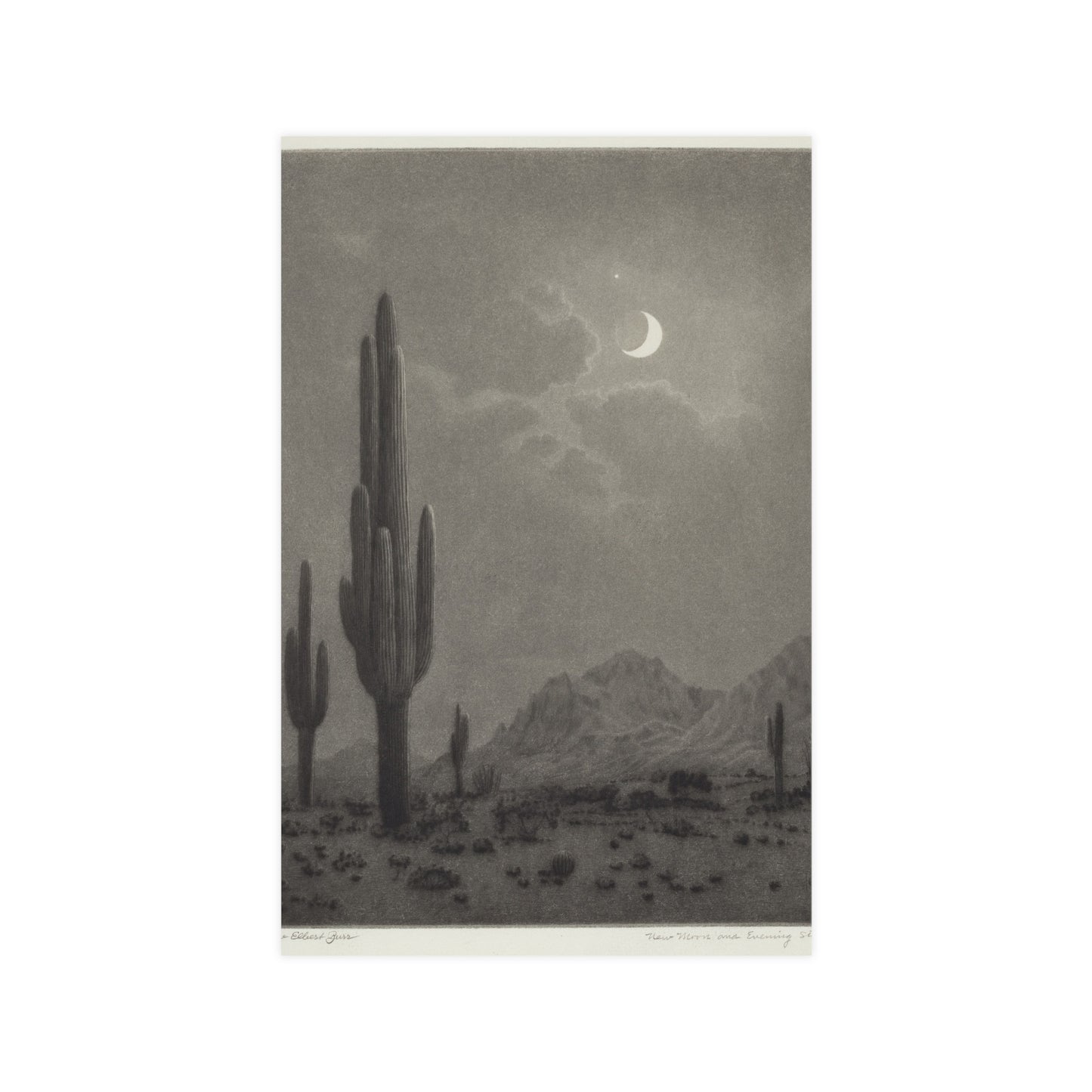 New Moon and Evening Star over Cactus- Celestial Fine Art Poster