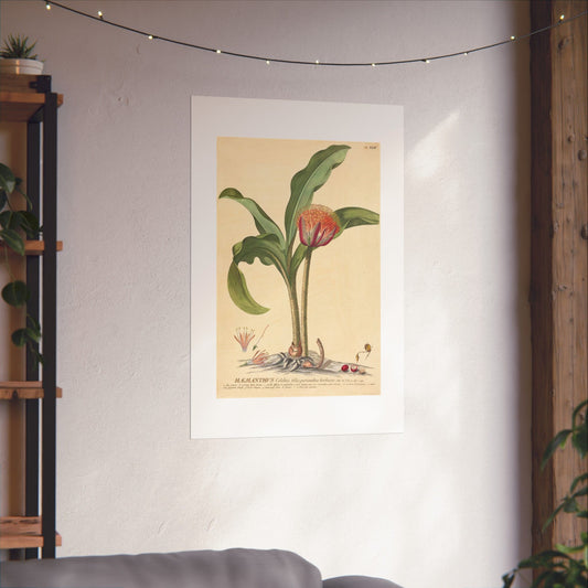 Exotic Vintage Botanical Print -  Wall Art  - Floral Vertical Poster - Vintage Floral Wall Décor