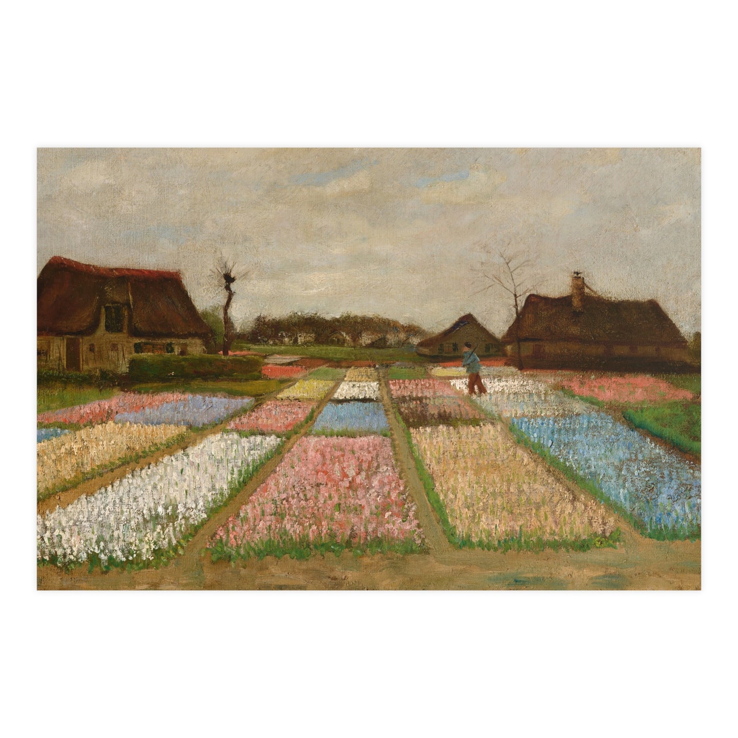 Flower Beds in Holland - Van Gogh Fine Art Poster
