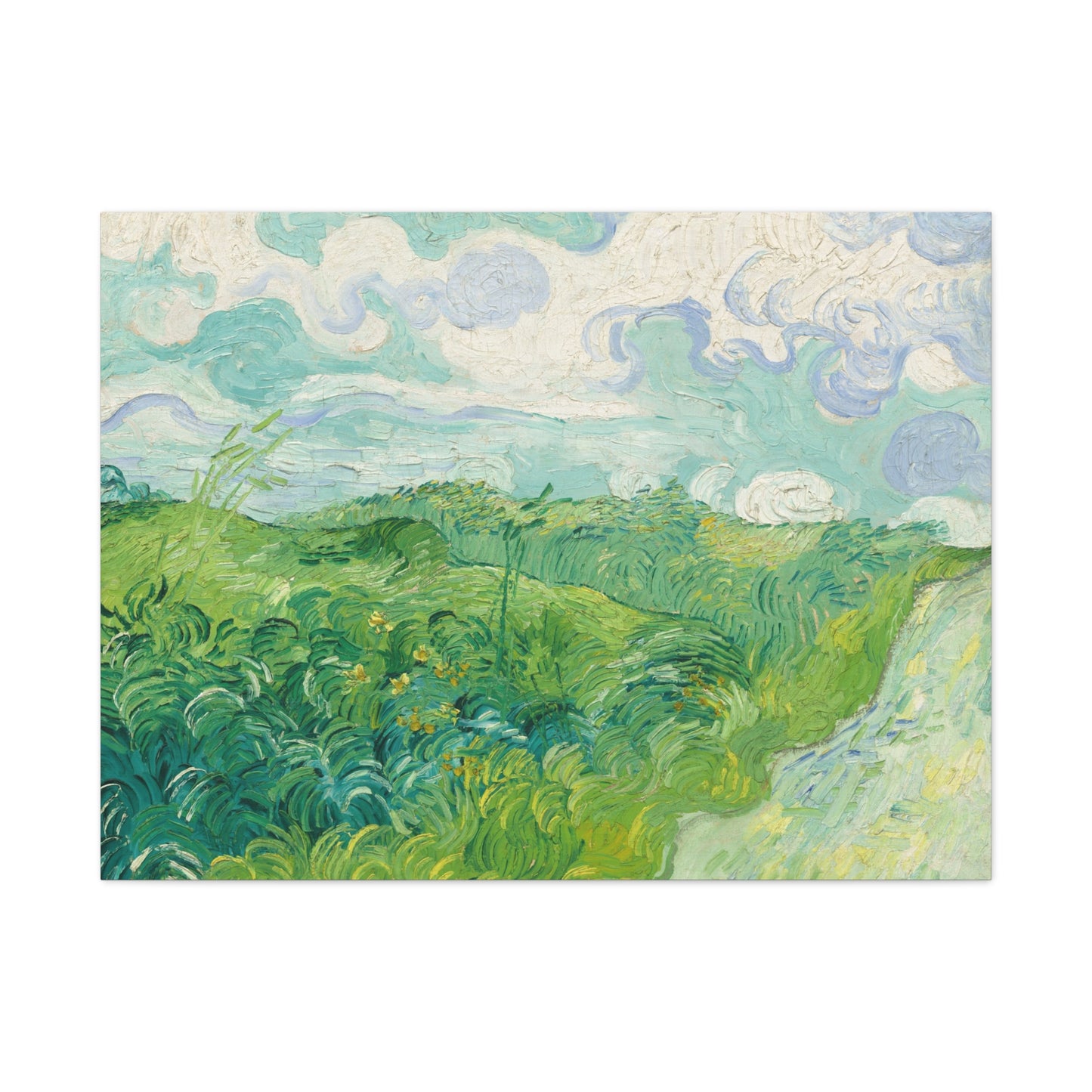 Vincent van Gogh - Green Wheat Fields Fine Art Canvas Print