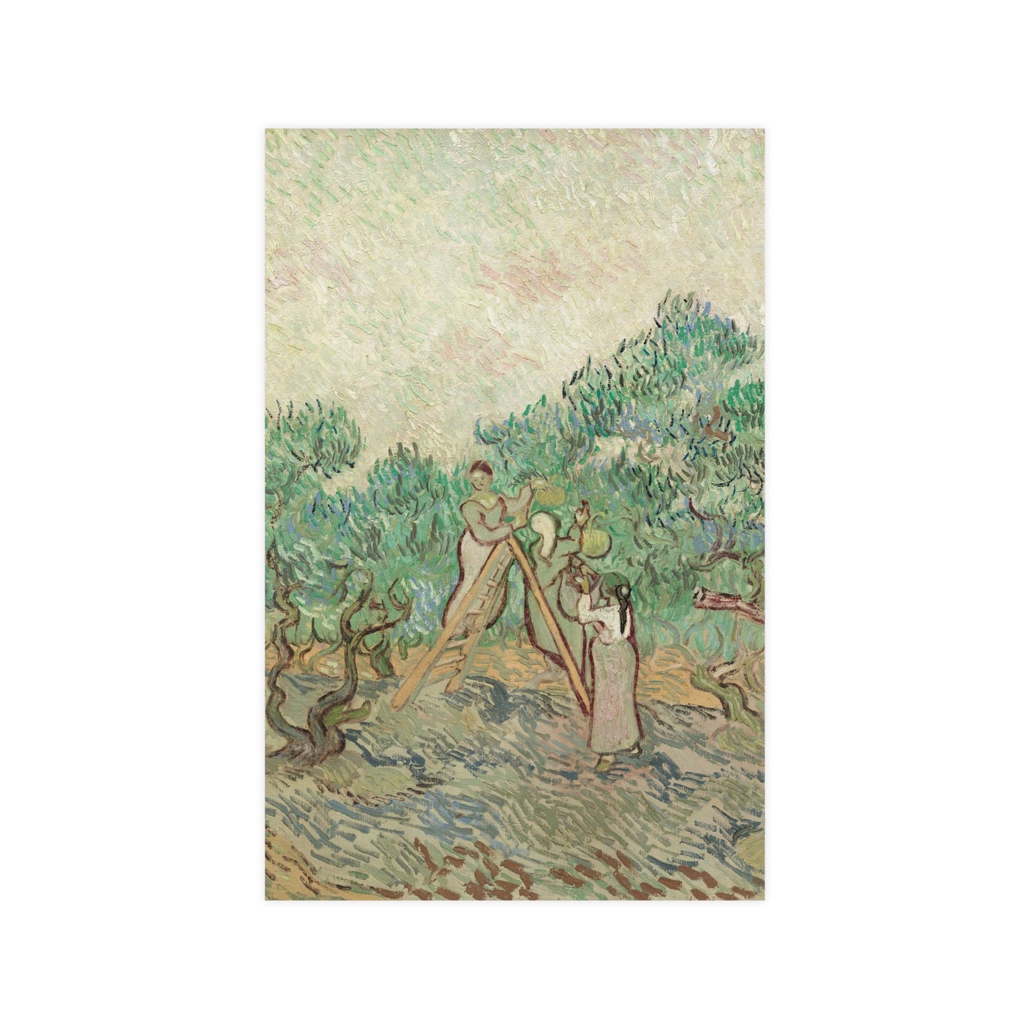 The Olive Orchard - Van Gogh Fine Art Poster