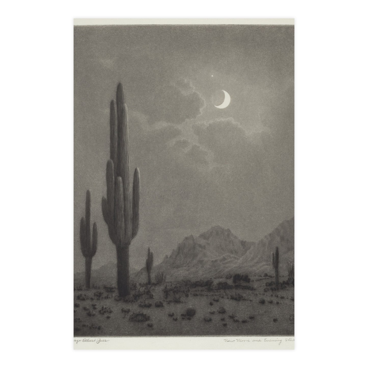 New Moon and Evening Star over Cactus- Celestial Fine Art Poster