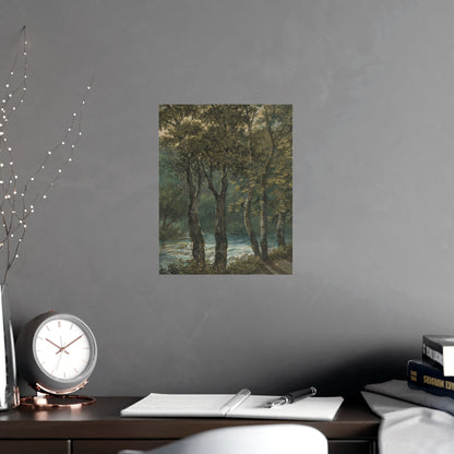 Sunlight Through Trees River Sihl - Forest Landscape Fine Art Poster
