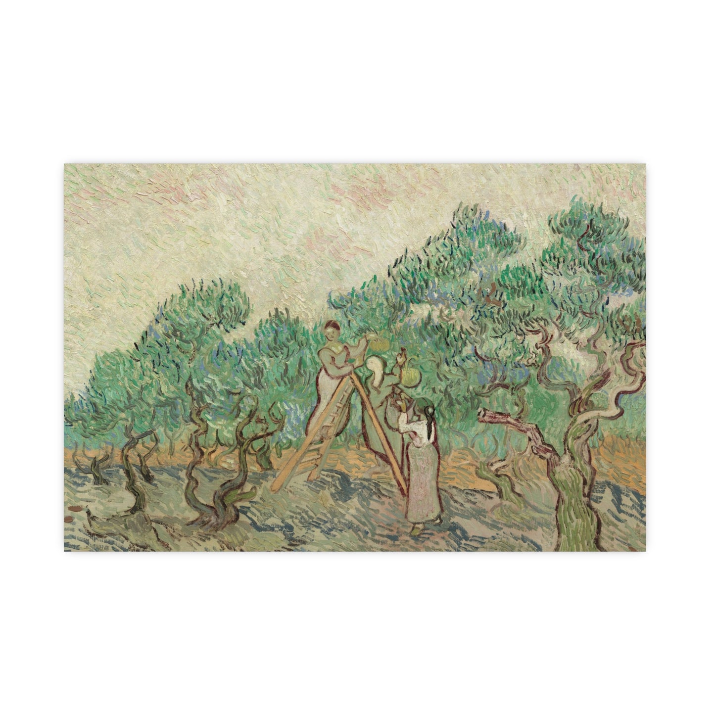 The Olive Orchard - Van Gogh Fine Art Poster