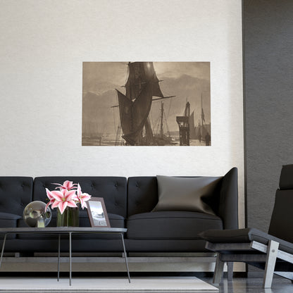 Sunshine and Shadow - Forest Interior Fine Art Poster
