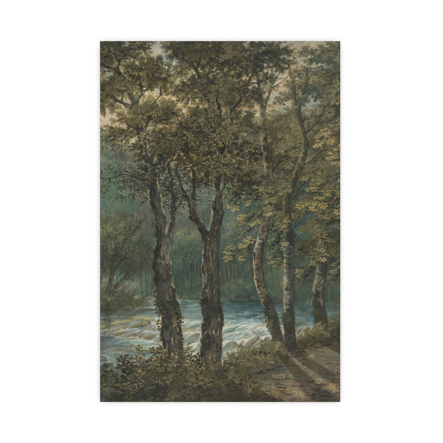 Sunlight Through Trees River Sihl - Forest Landscape Fine Art Poster