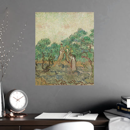 The Olive Orchard - Van Gogh Fine Art Poster