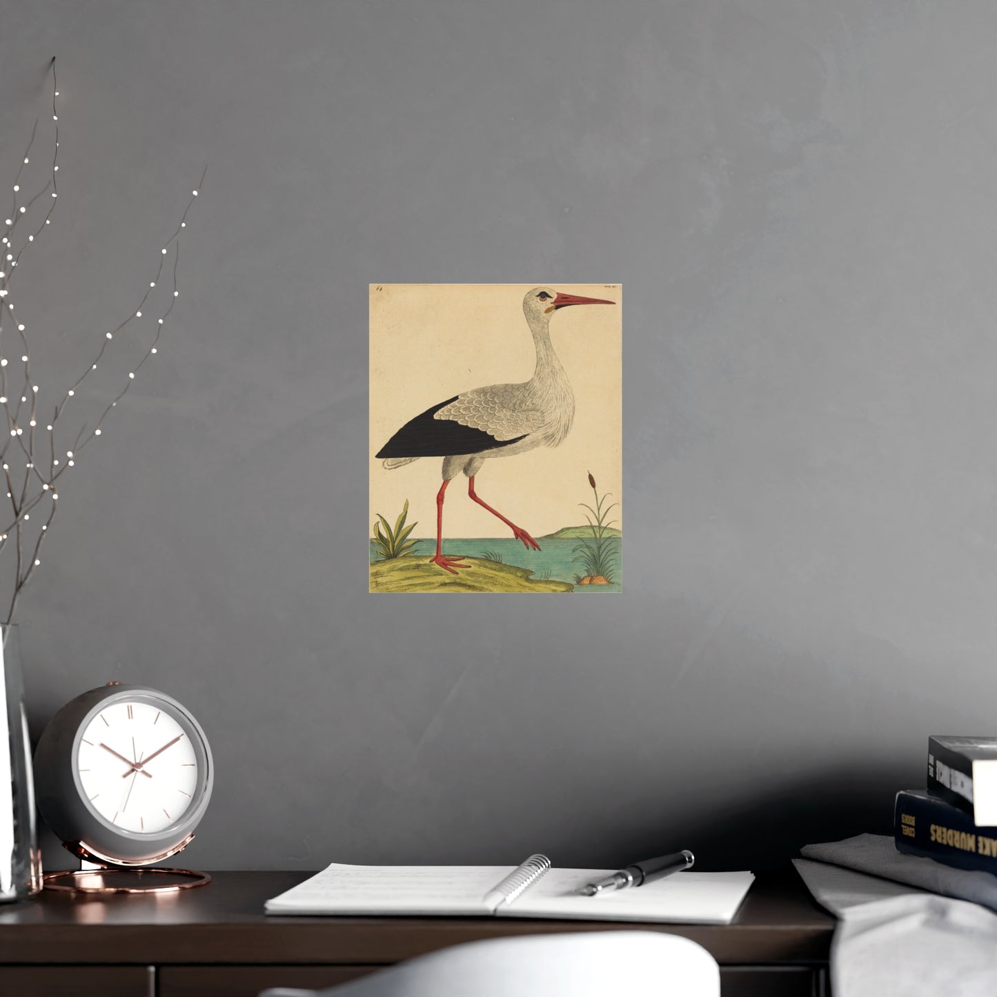 White Stork - Vintage Natural History Fine Art Poster